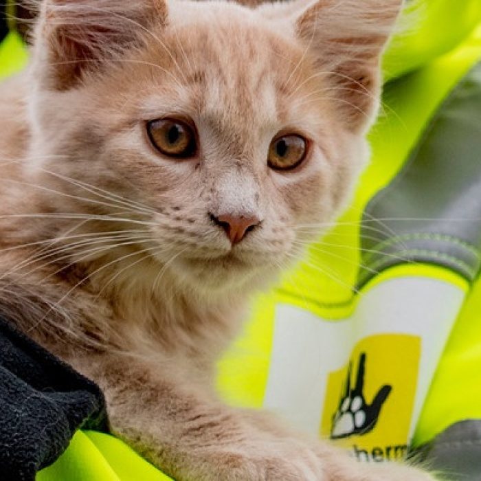 Ben jij onze nieuwe collega?