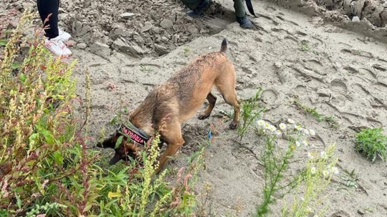 Bouw Dierenbeschermingscentrum Noord Nederland van start