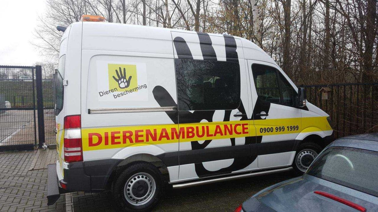 Nieuwe auto voor Dierenambulance Overgelder