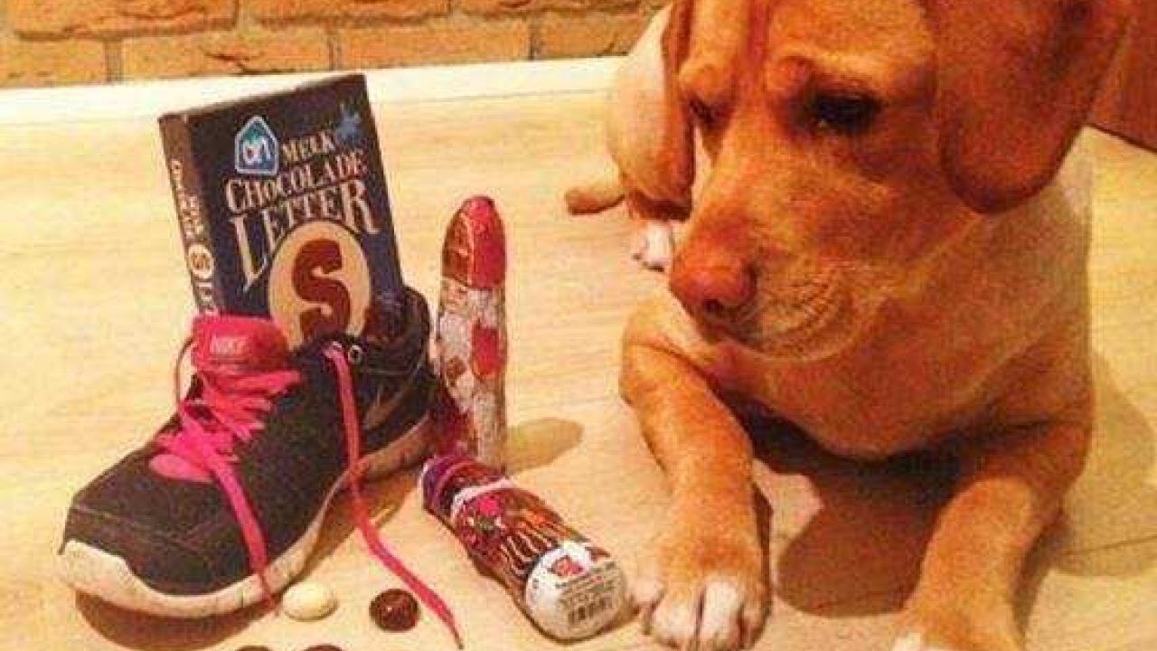 Chocoladeletters