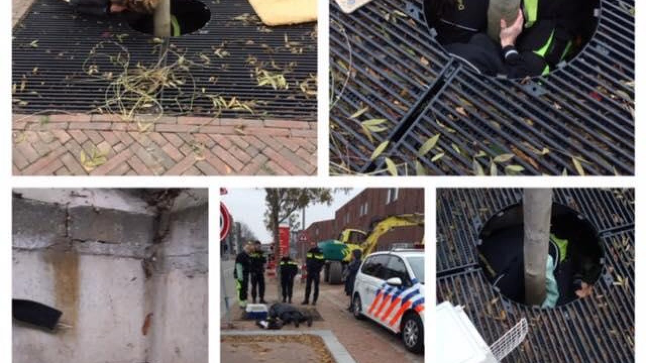Spannend avontuur voor Sjinkie de kat