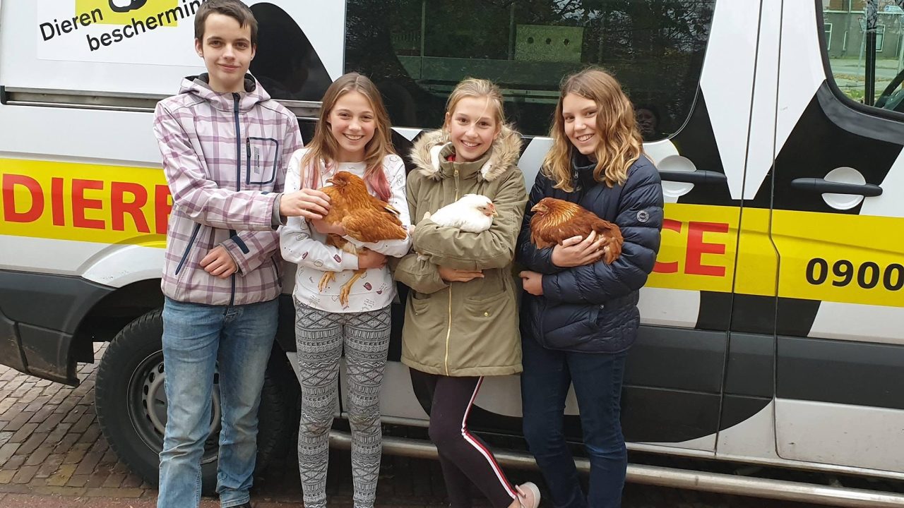 Bericht van 4 helden