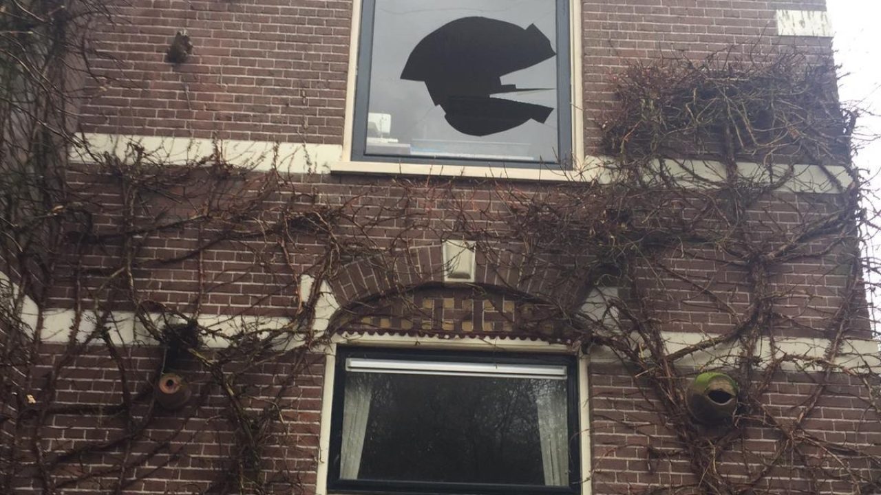 2 houtduiven dwars door slaapkamer raam