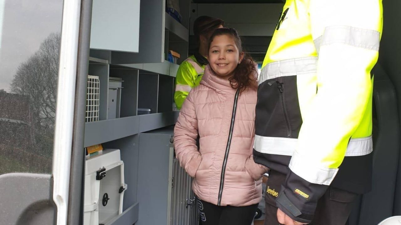 Spreekbeurt over de dierenambulance