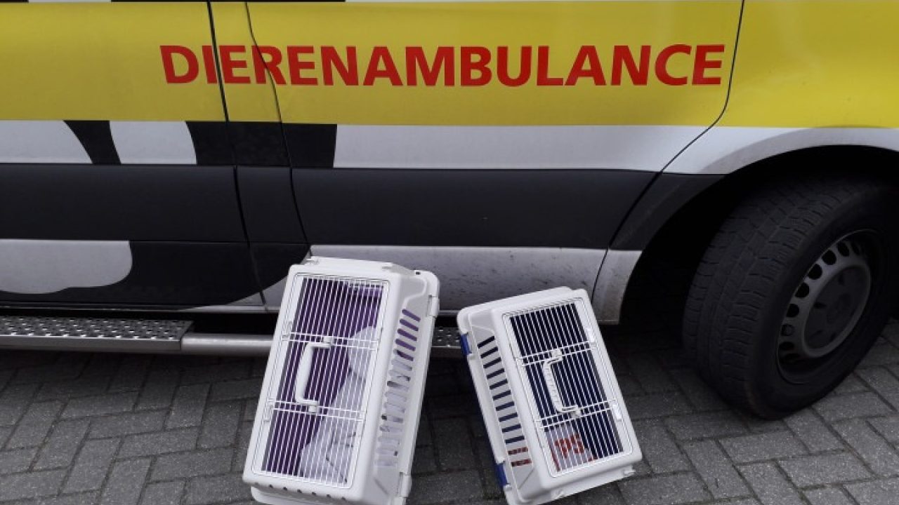 Donateurs bedankt!