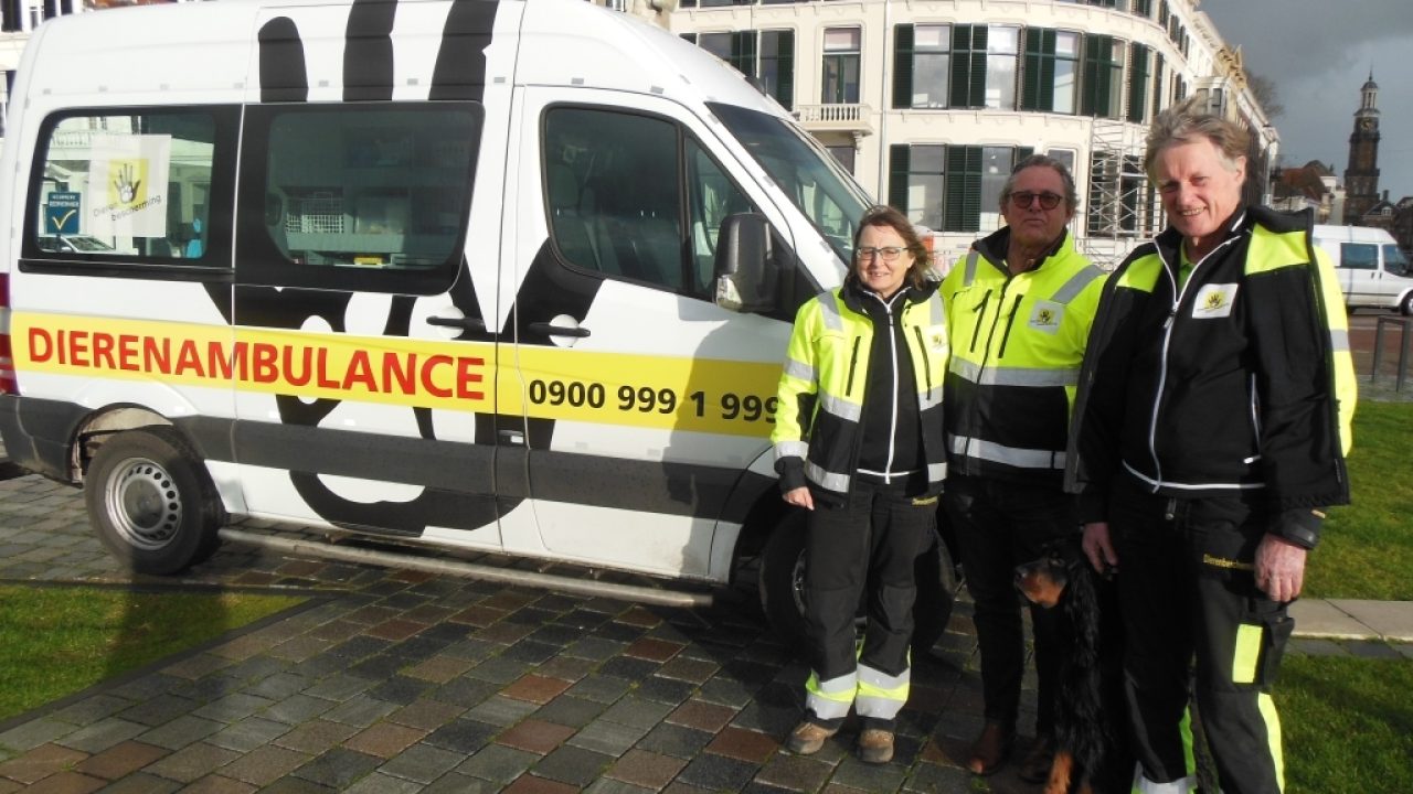 Dierenambulance Overgelder zoekt vrijwilligers in Zutphen en omgeving