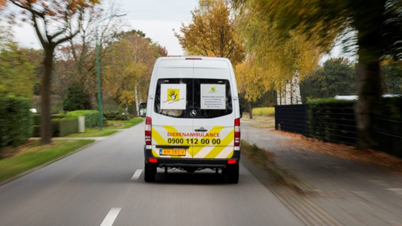 Voorlichting Dierenambulance Wooncentrum voor Doven