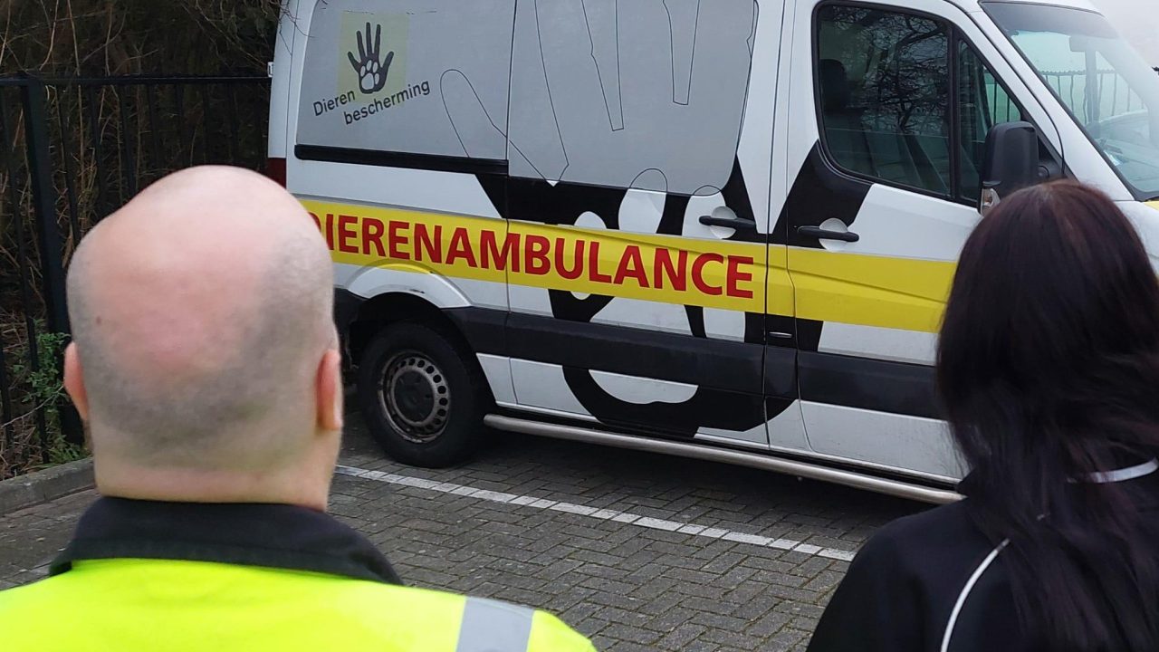 Dierenambulance rijdt weer!