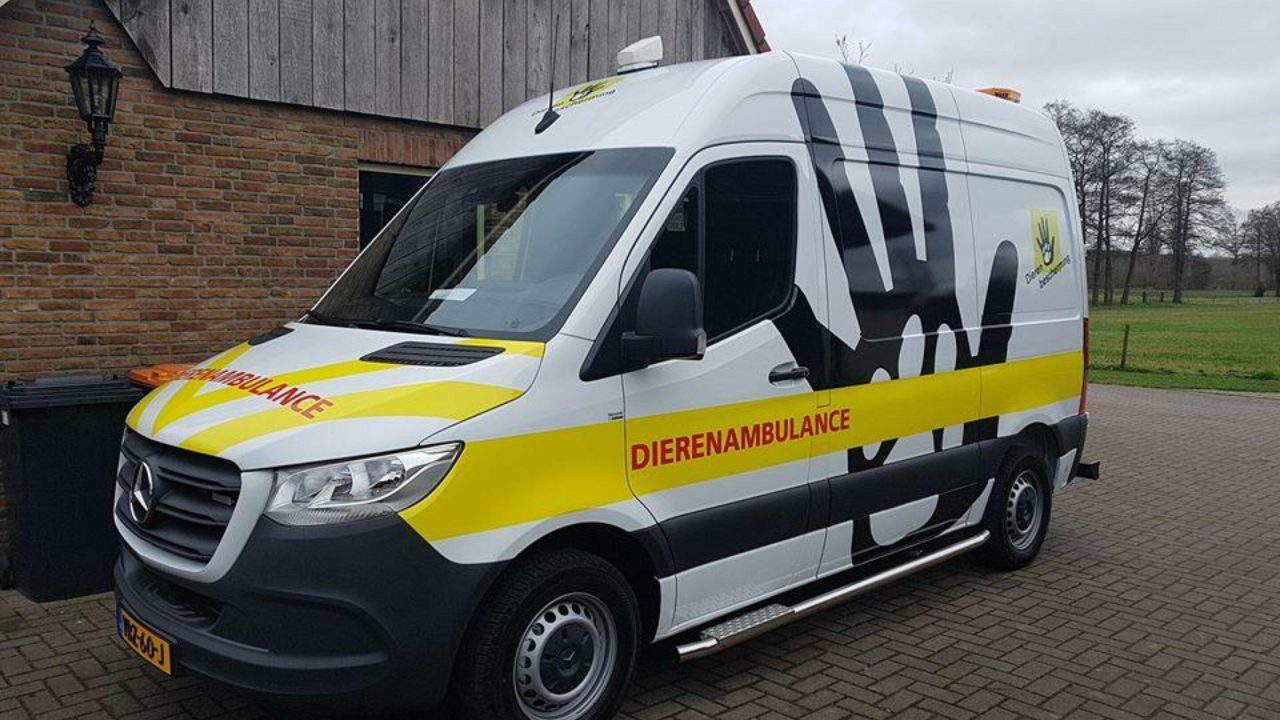 Help mee; word vrijwilliger