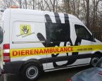 Dierenambulance Overgelder