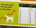 Hitteautonieuws