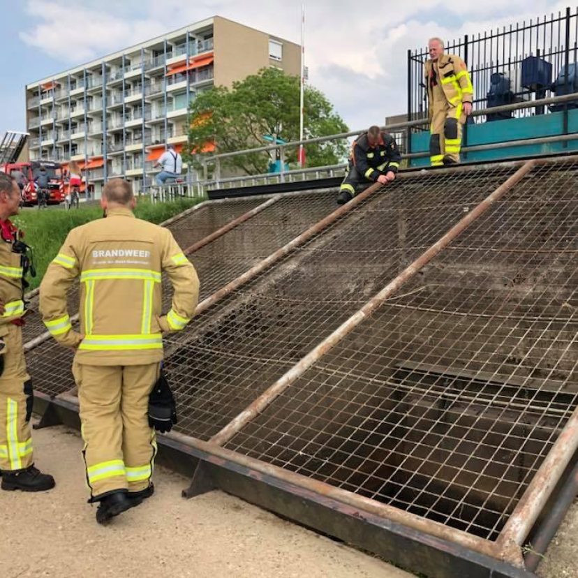 Brandweer meerkoet