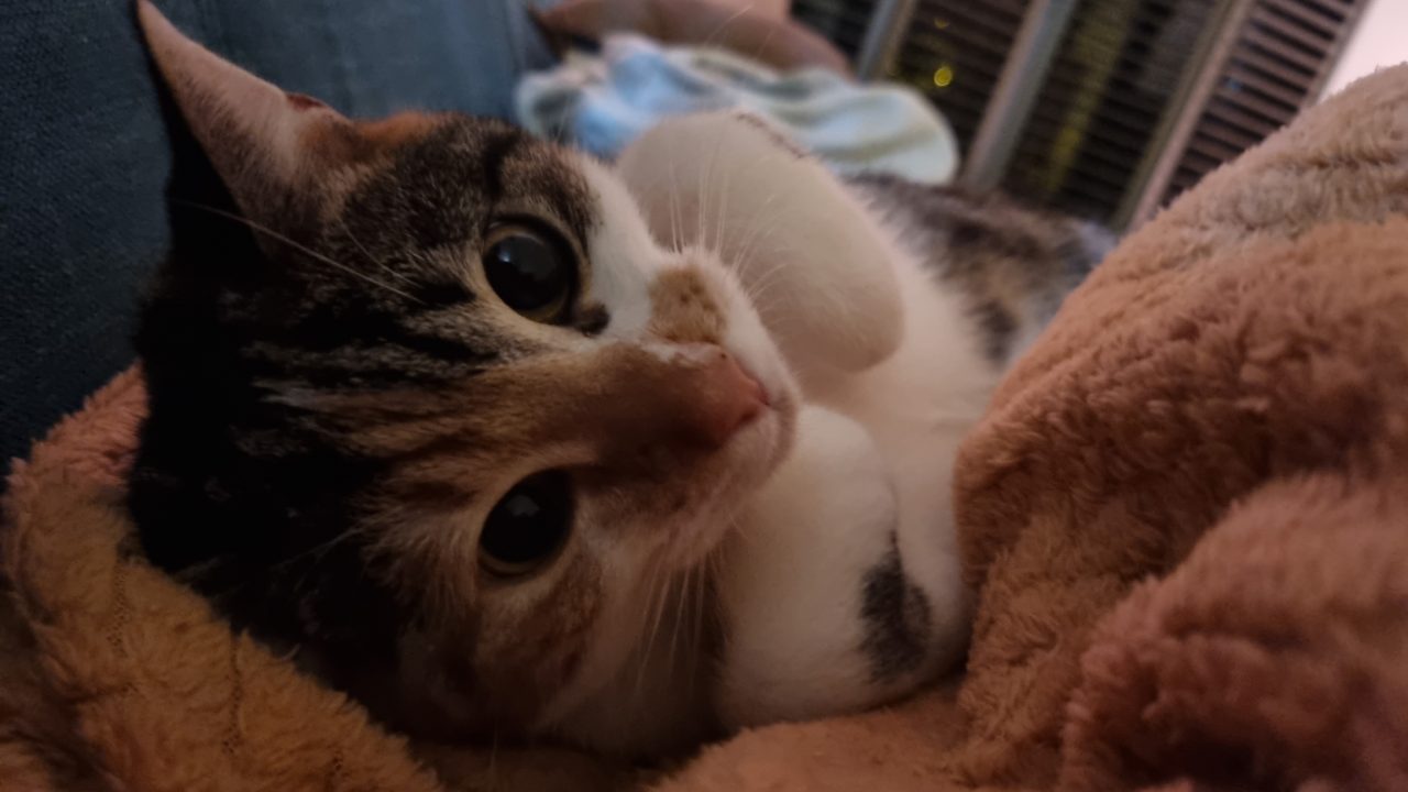 Kiki 