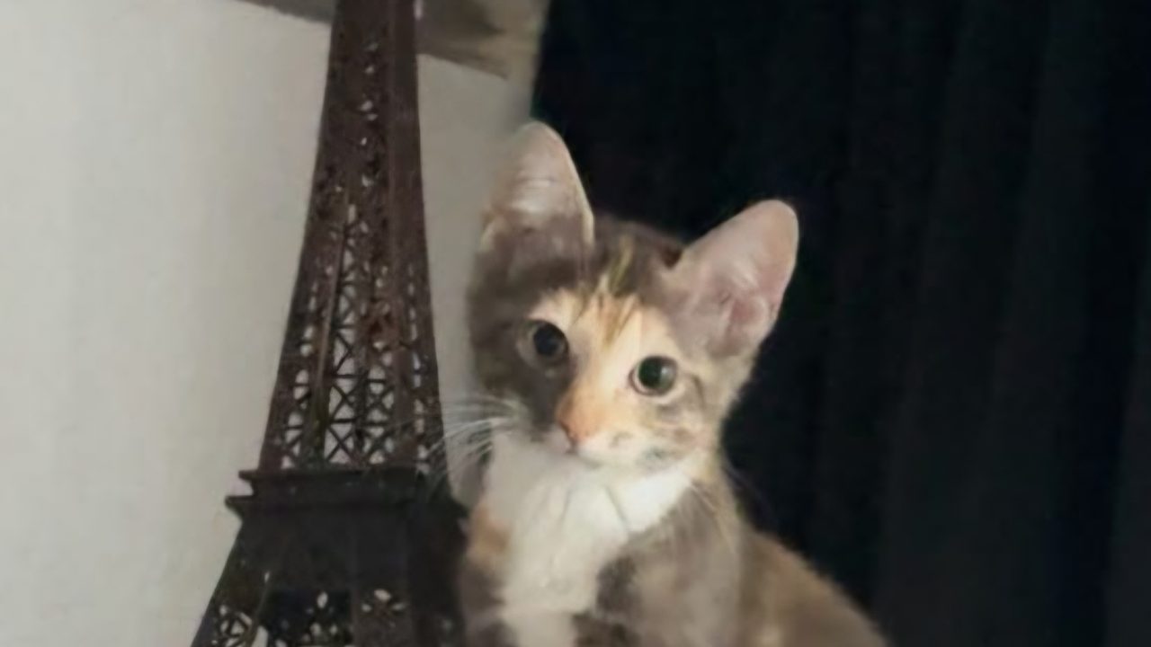 Artie