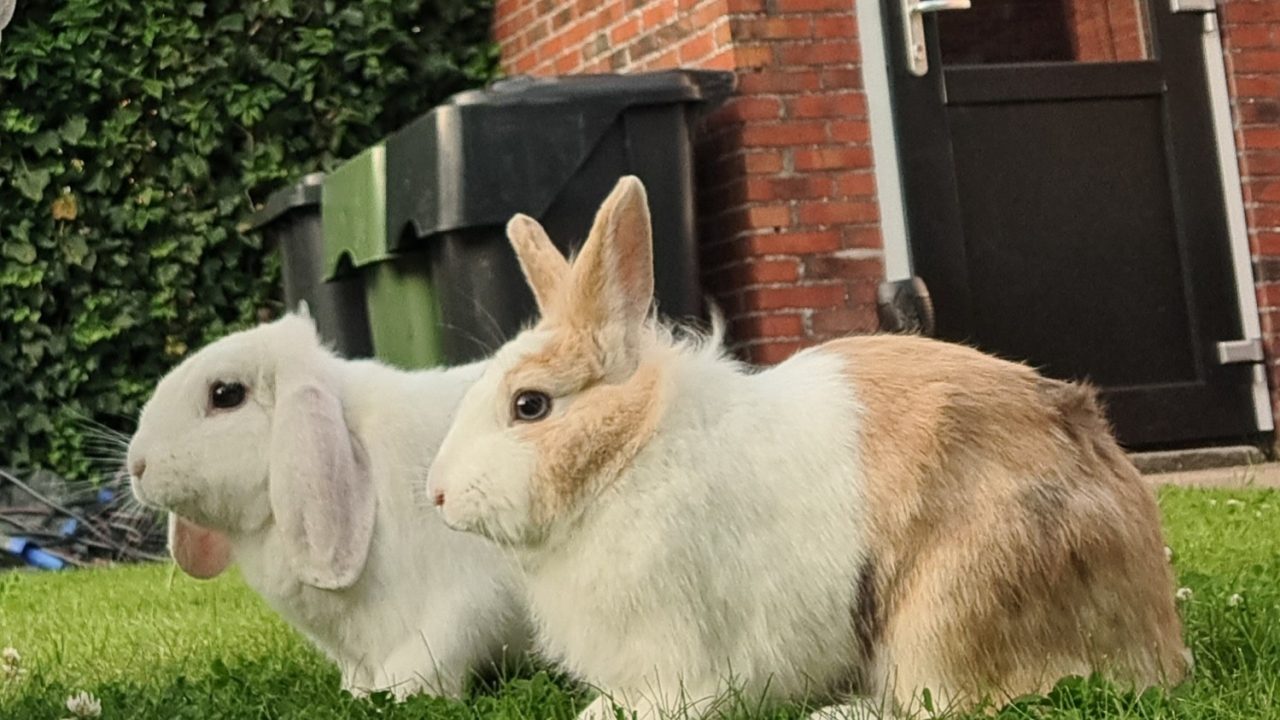 Cody uit Winschoten