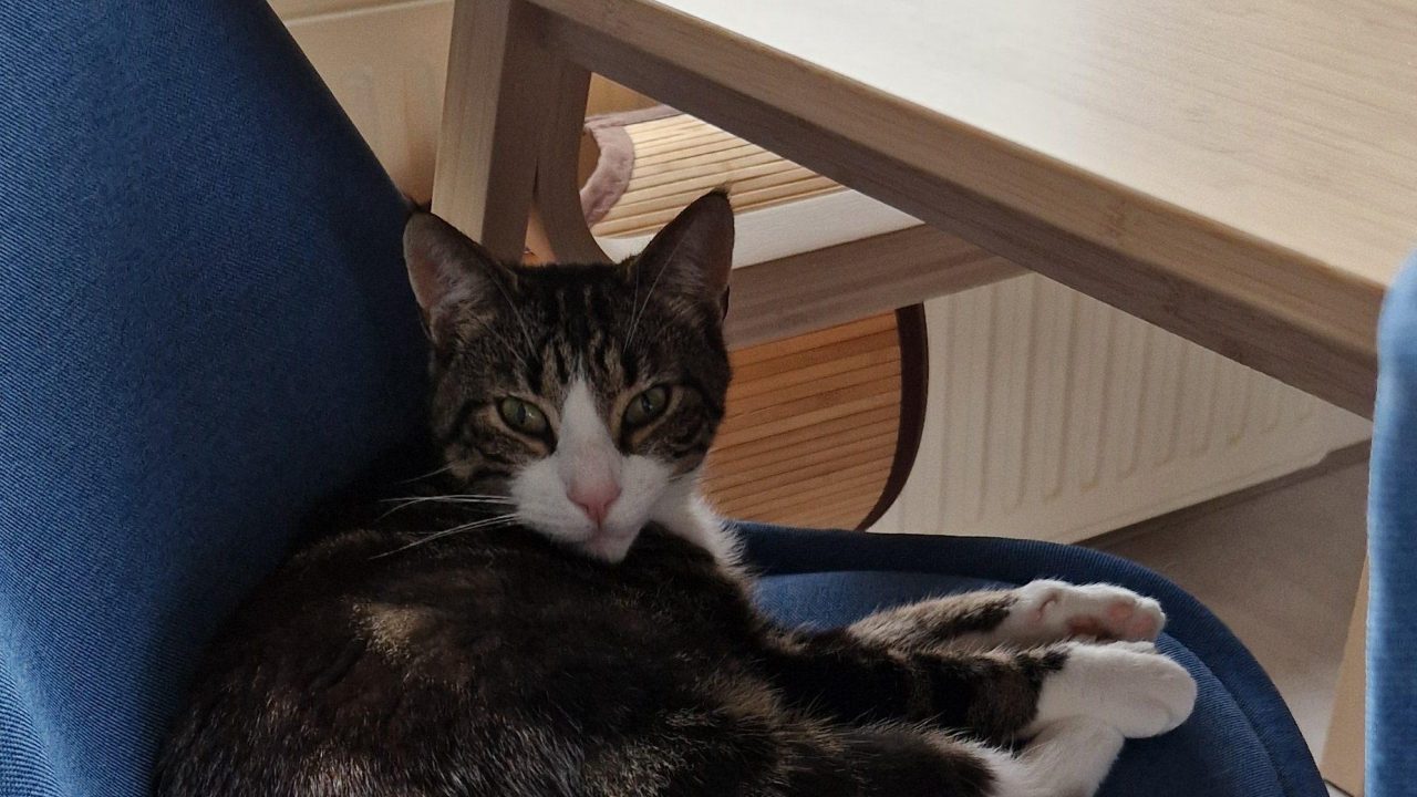 Geertje (hernoemd naar Gijs)