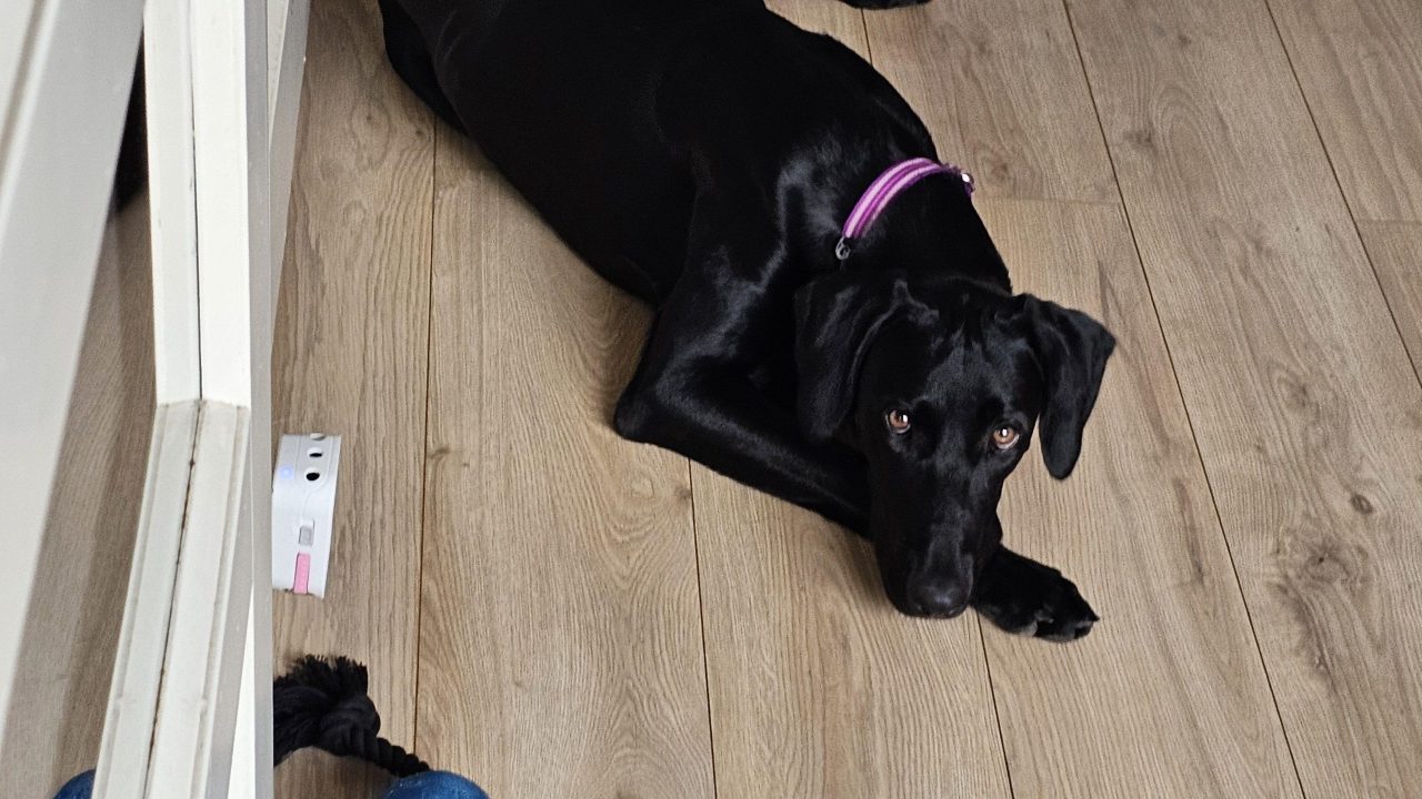 Luna