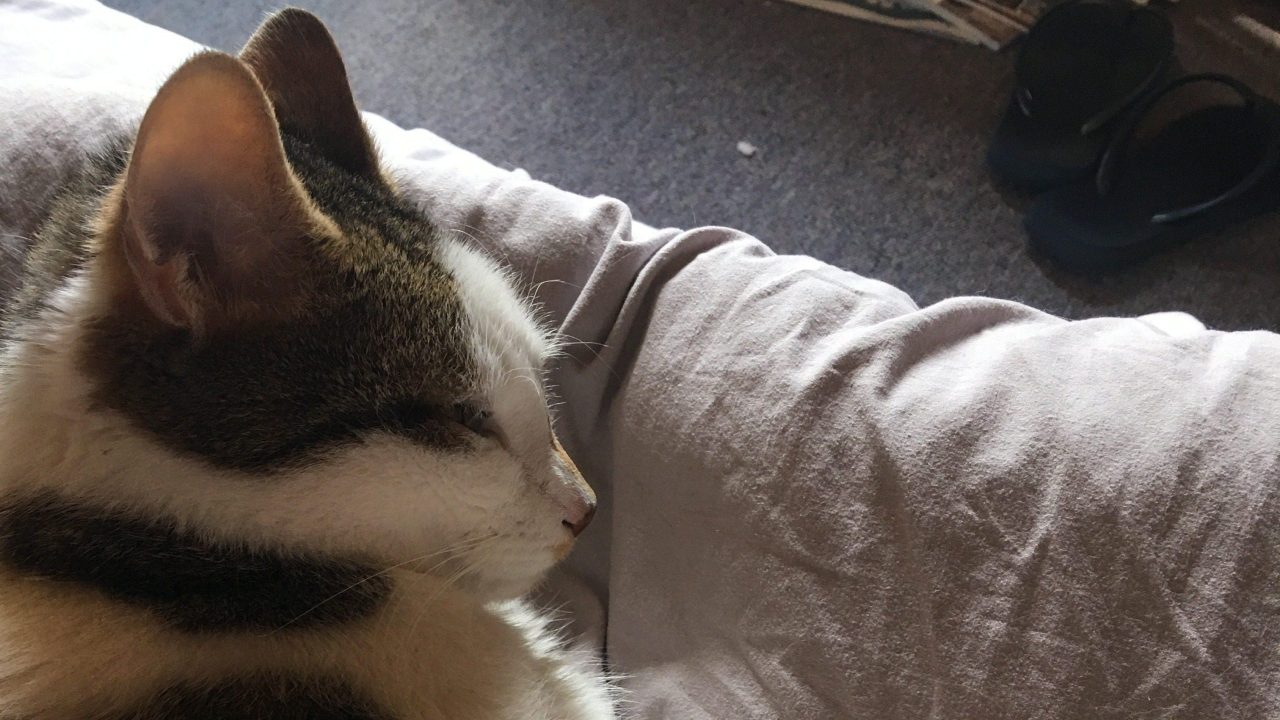 Floris uit Utrecht