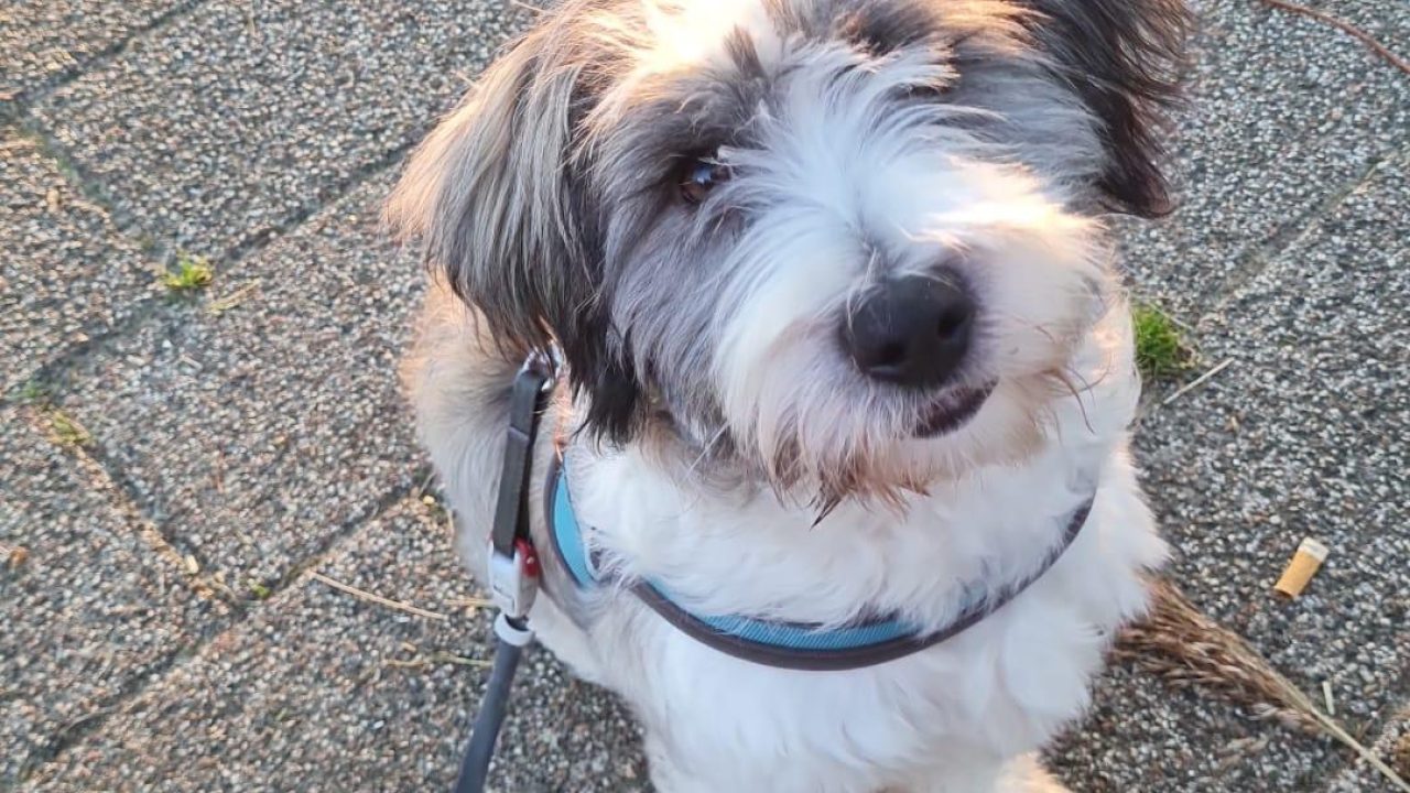 Max