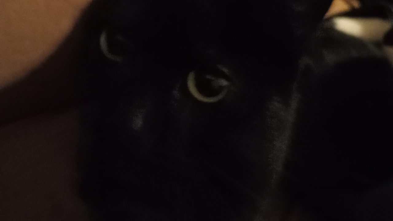 IMG20231228200555