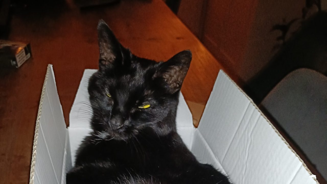 IMG20240828221905