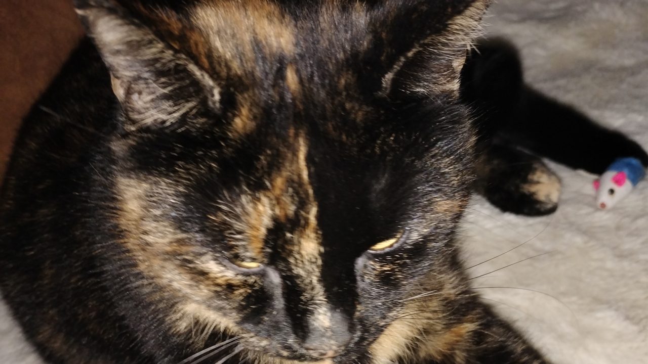 IMG20251130145652