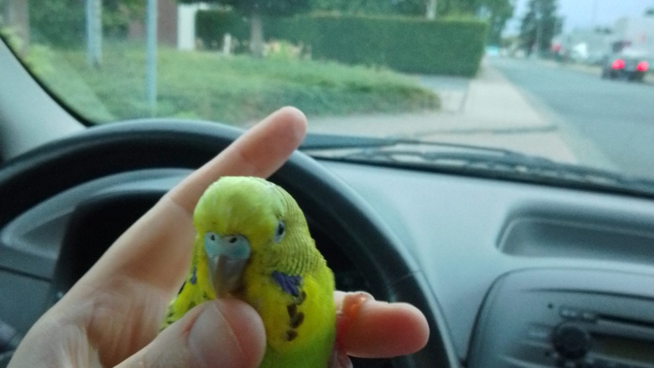 IMG 20260817 203701 397