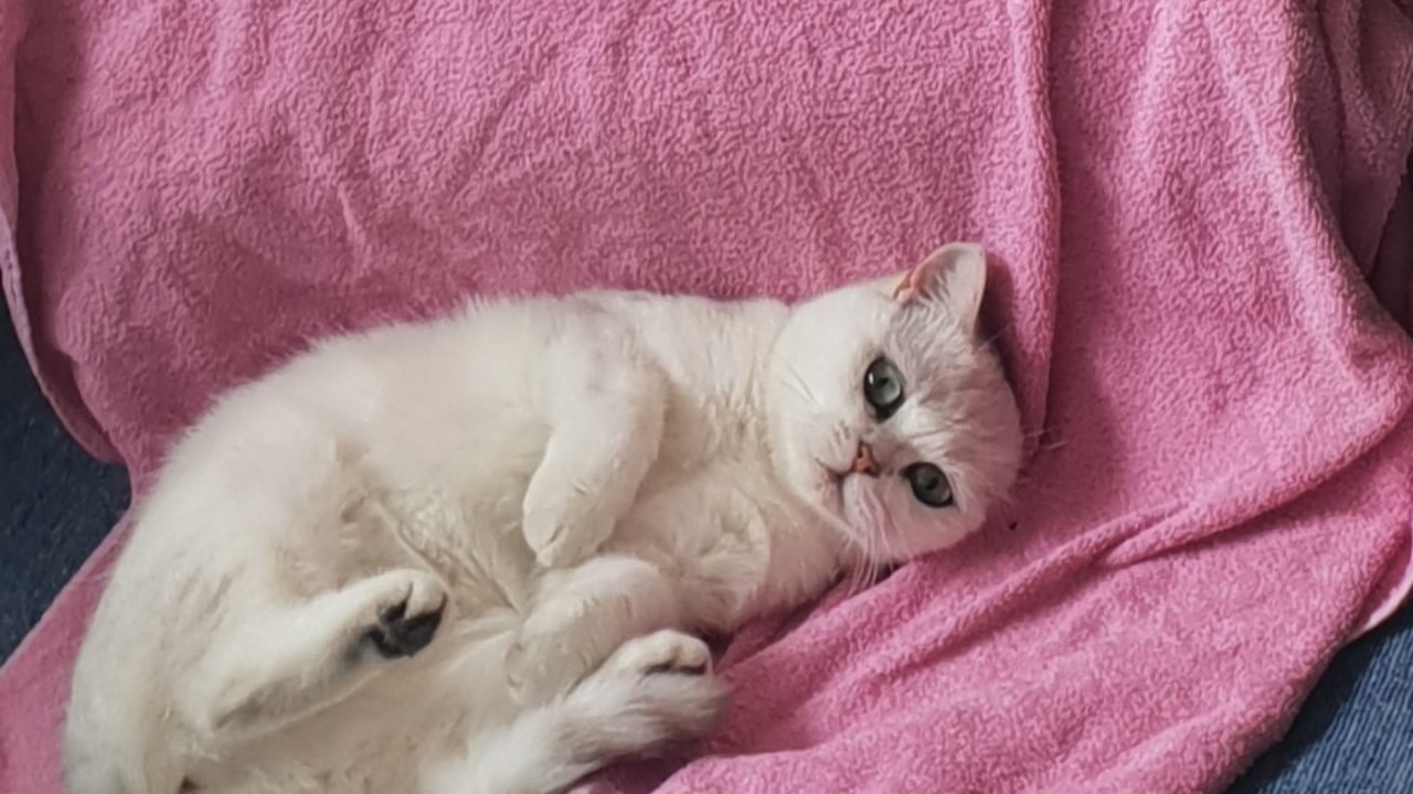 Mia uit Enschede
