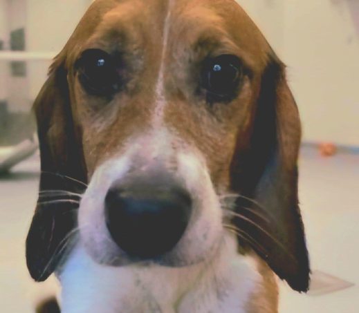 Charlie
