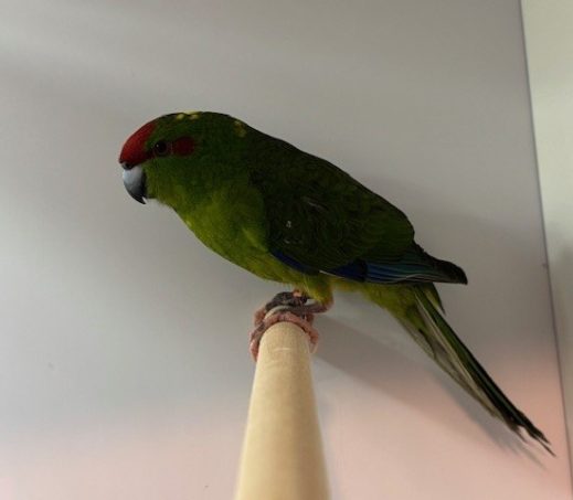 5598