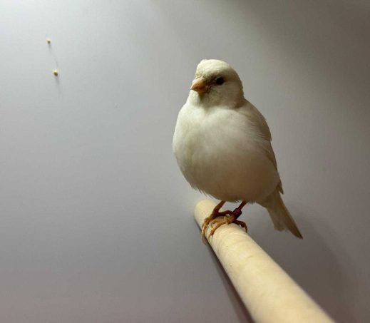 5665