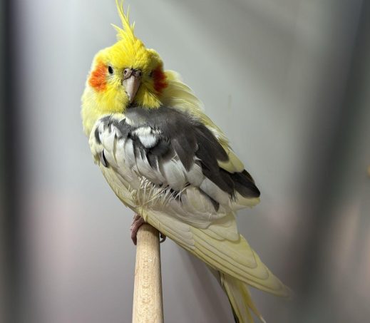 5779