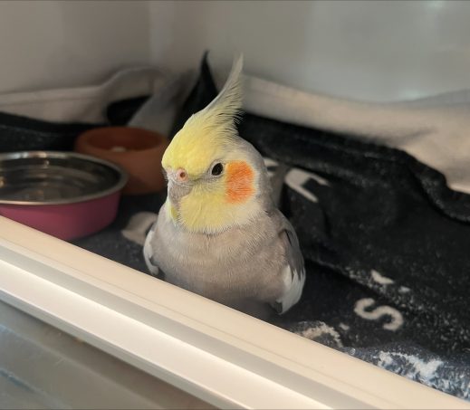 6120