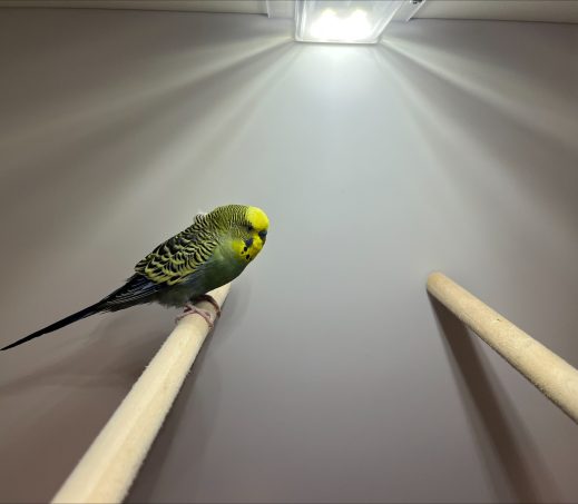 6370