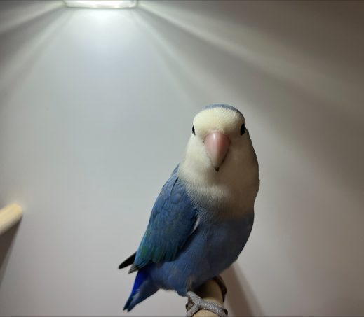 6423, 6424