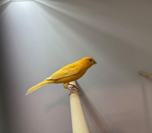 6719