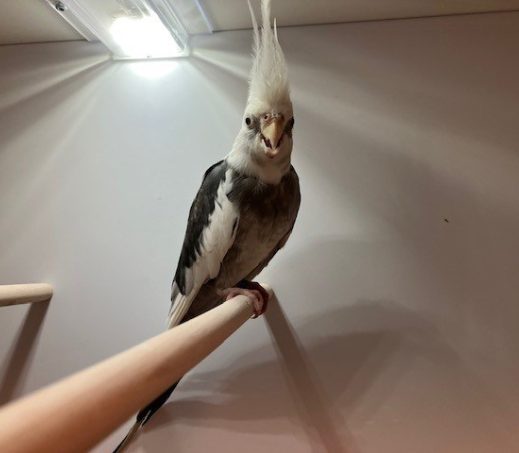 6730