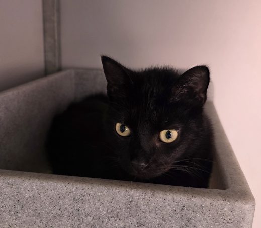 6839