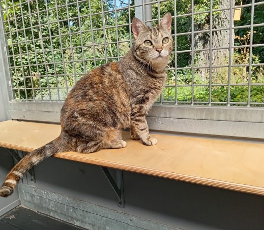 Madame Jeanette