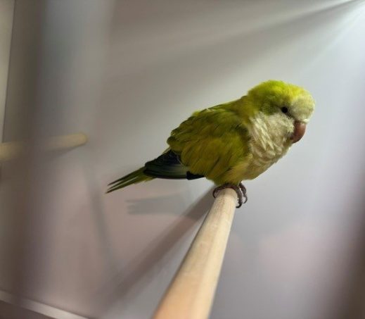 7150