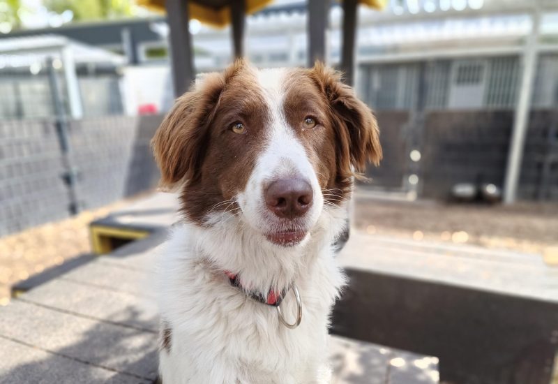 3131 1