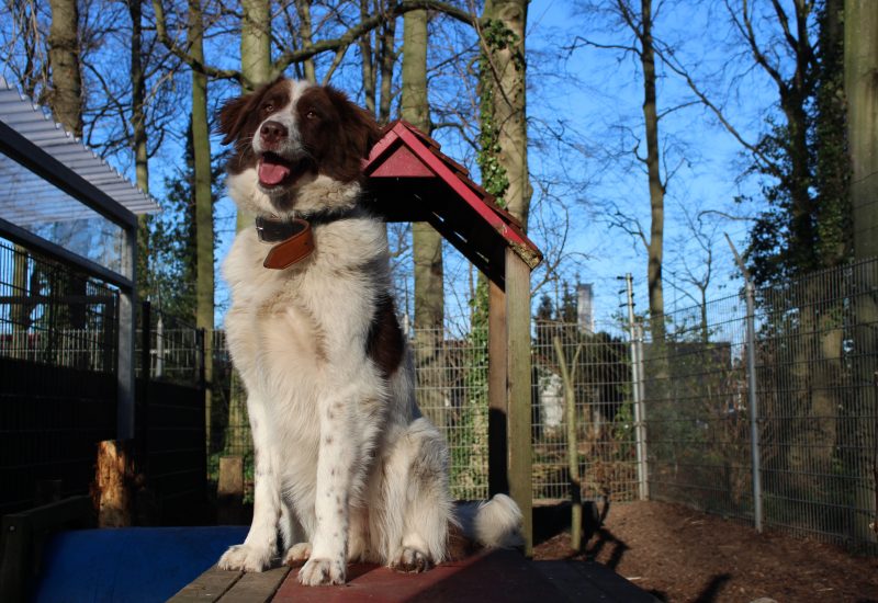 Jena