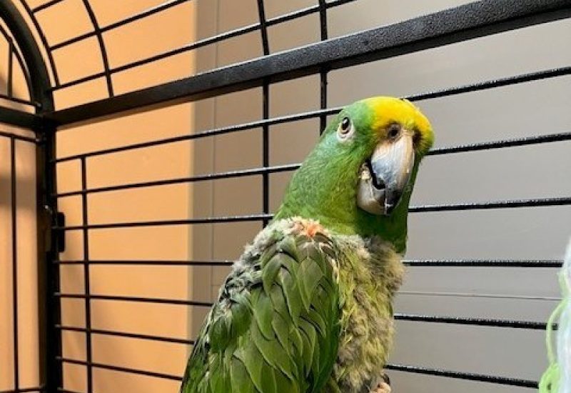 6945