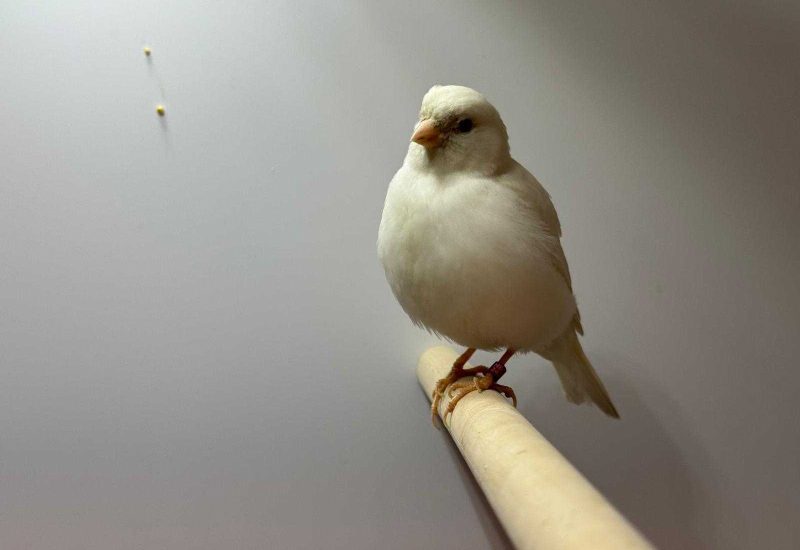 5665