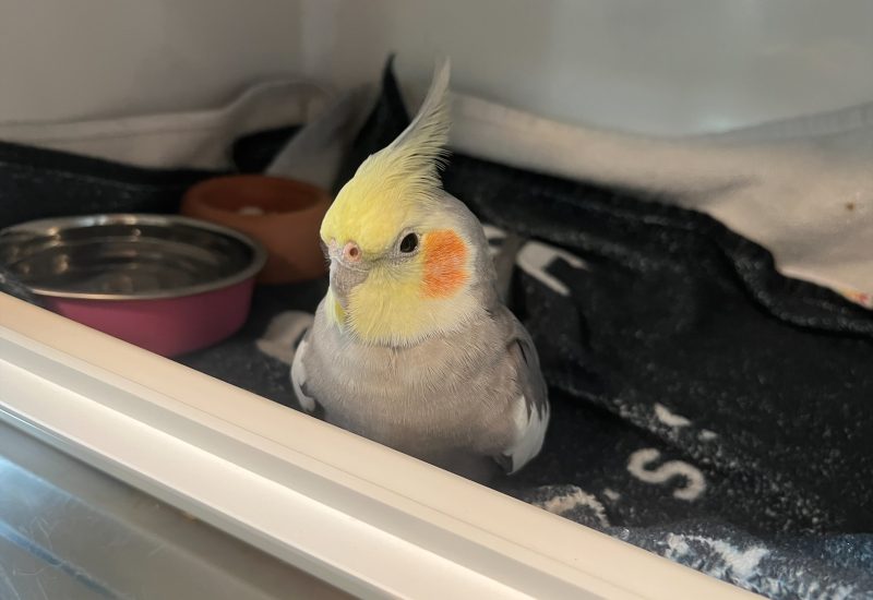 6120