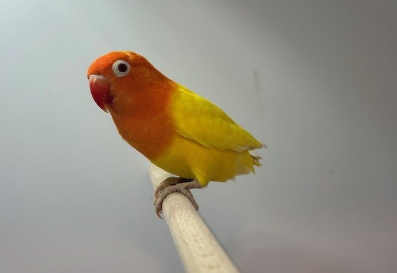 6128