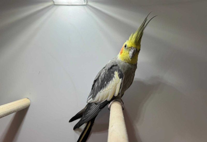 6557