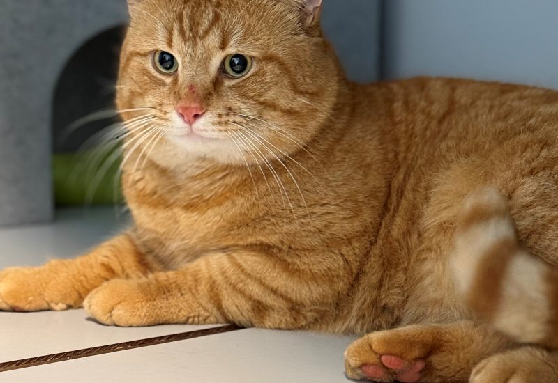6682