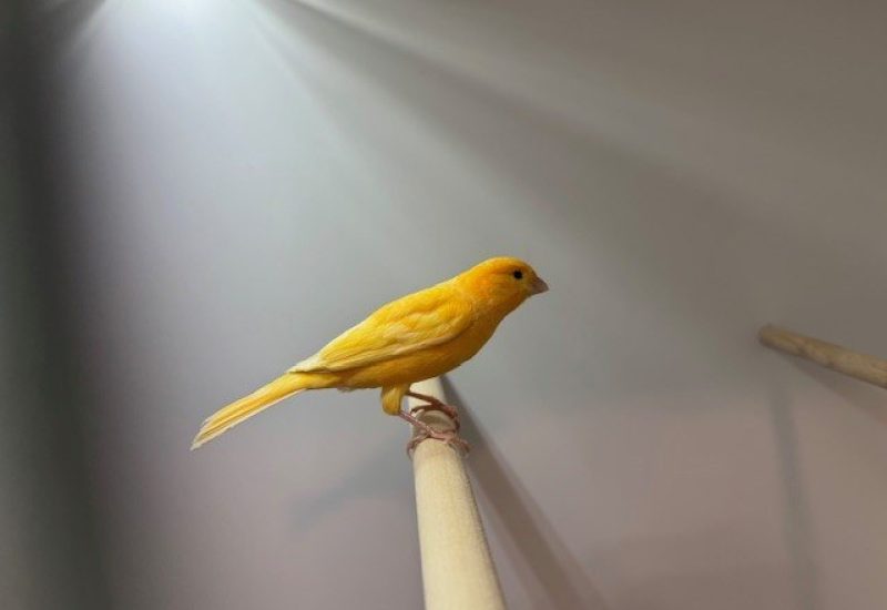 6719
