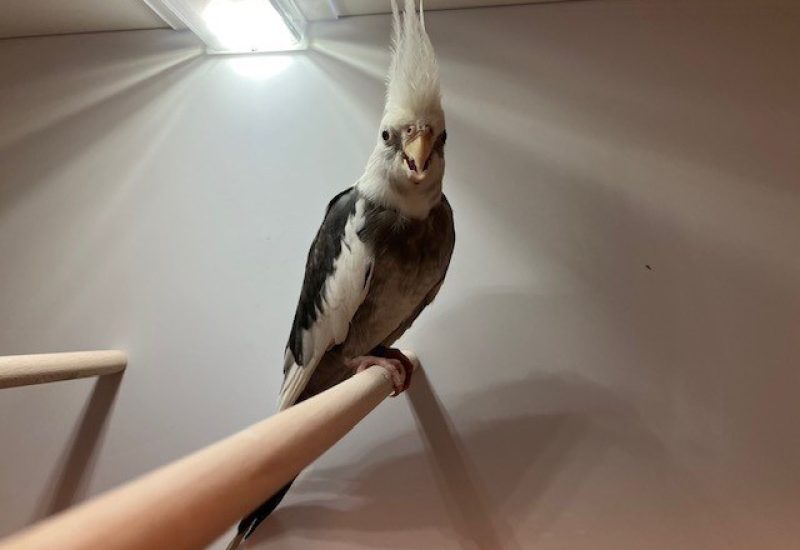 6730